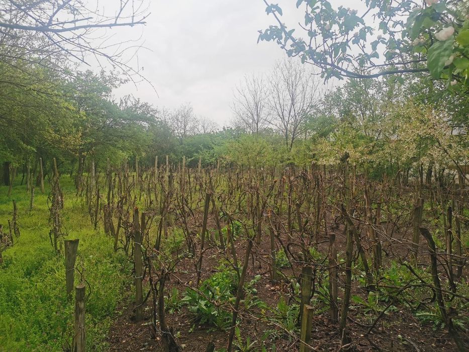 Casa de vanzare in sat Merisani Com Babaita /Teleorman