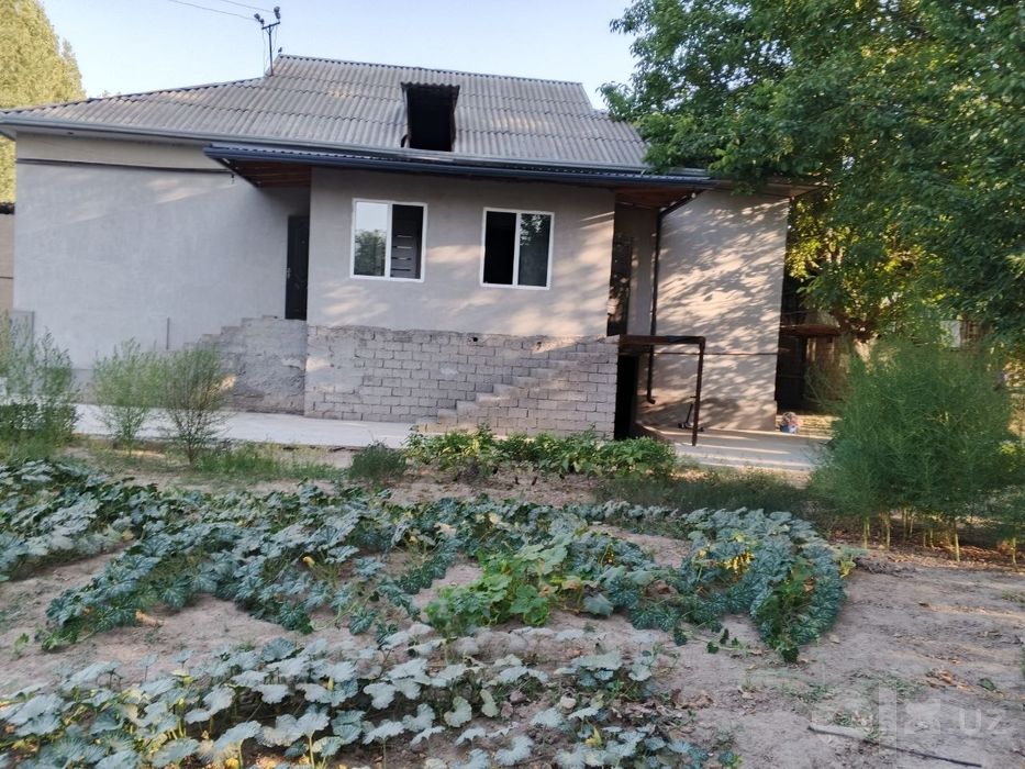 Уртасаройда ховли 8 сотых
