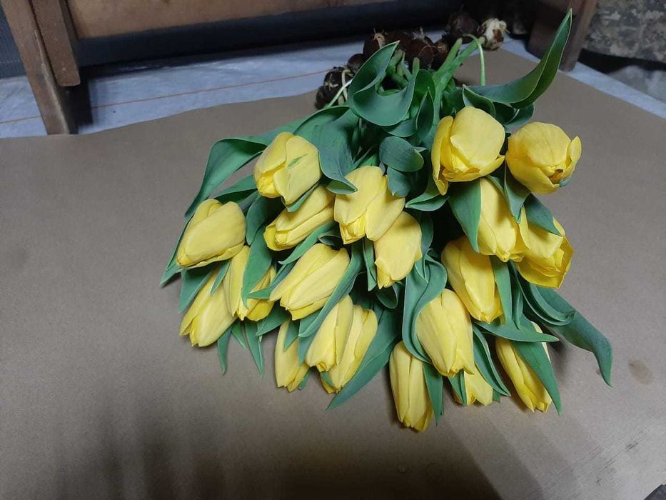 Тюльпаны оптом и в розницу к 8 марту