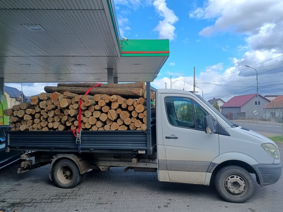 Pari de salcam, stâlpi de salcam