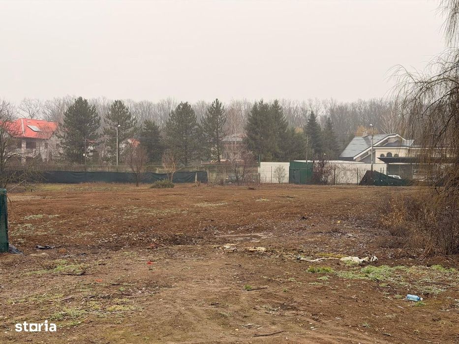 Teren Snagov - Cioflinceni | Drum amenajat | Aproape de Padure si Lac