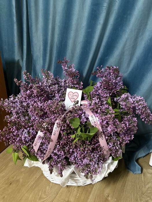 Сирень корзинка L размерде