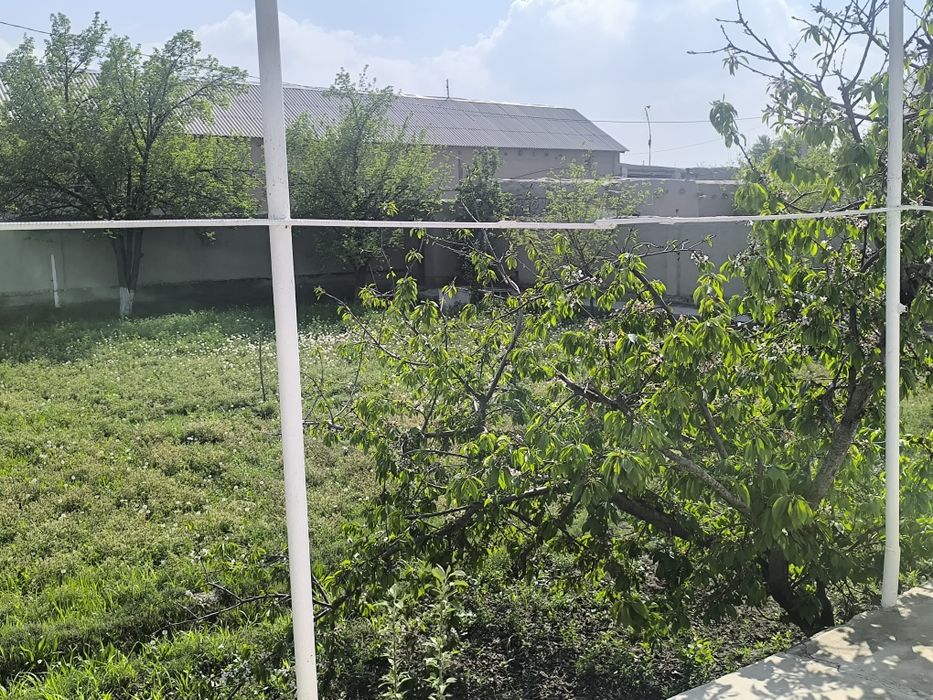 5+ sotix hovli Navoiy viloyati Qiziltepa tumani Tojikon MFY