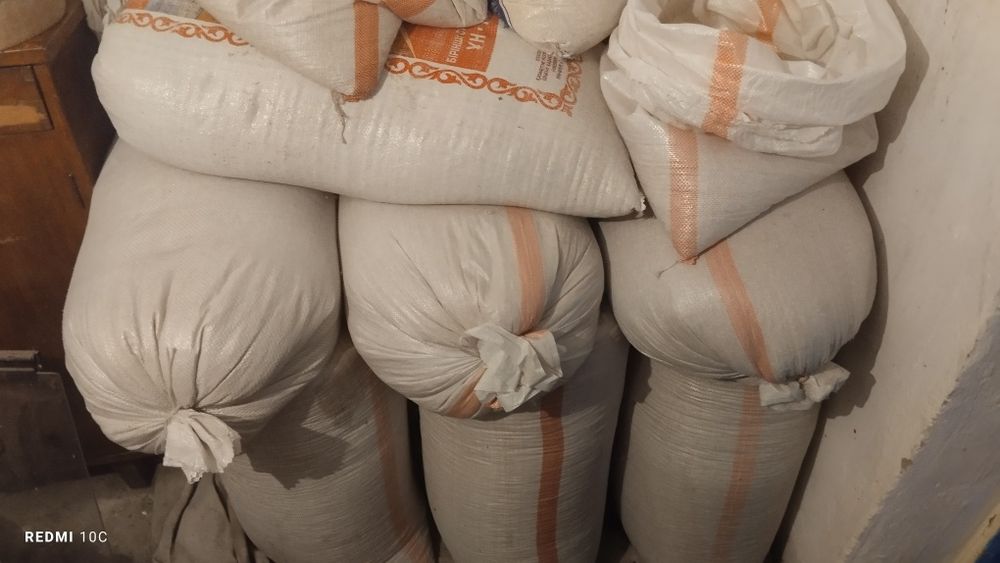 Кукуруза попкорн