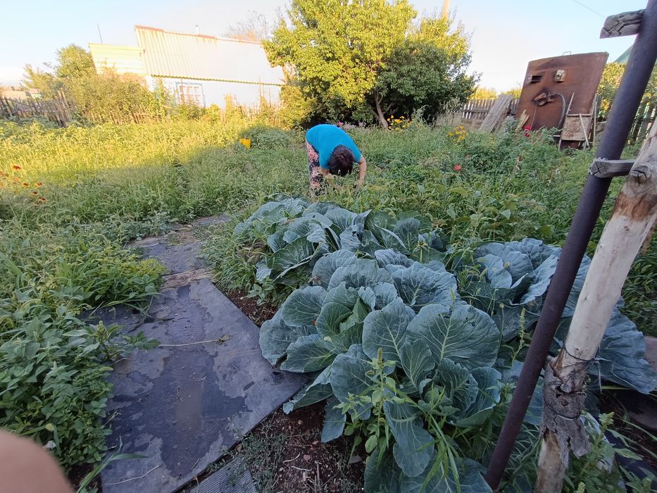 Продам дачу на ПК Автообъединение