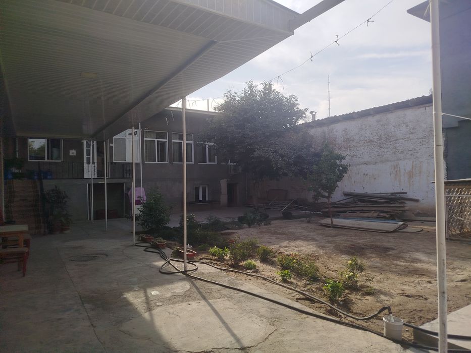 бозсув бодомзорда