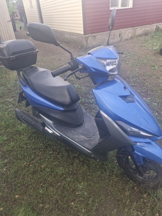 Продам радость лета