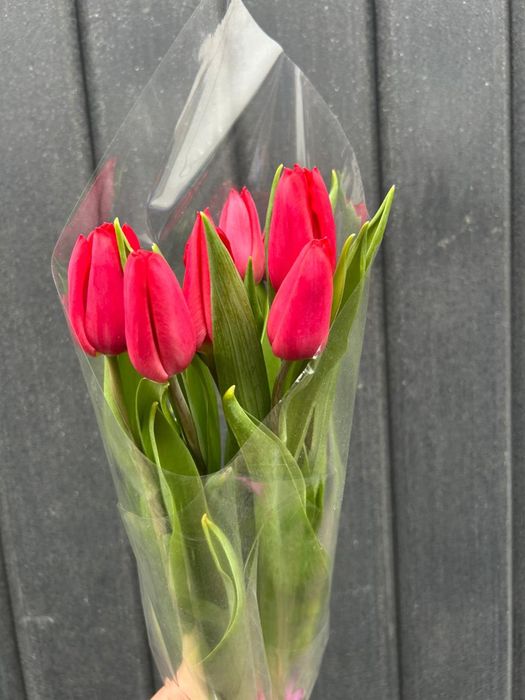 Тюльпаны 8 марта 750 тг