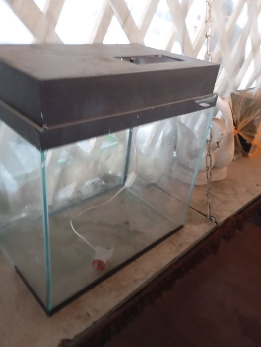 Аквариум  нормальный