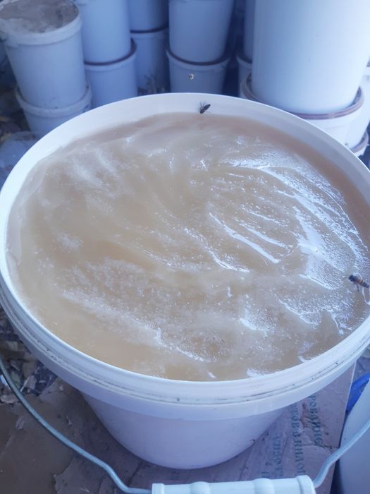 Мёд натуральный мёд оптом