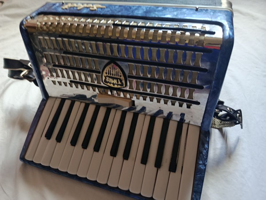 Acordeon Select Timis