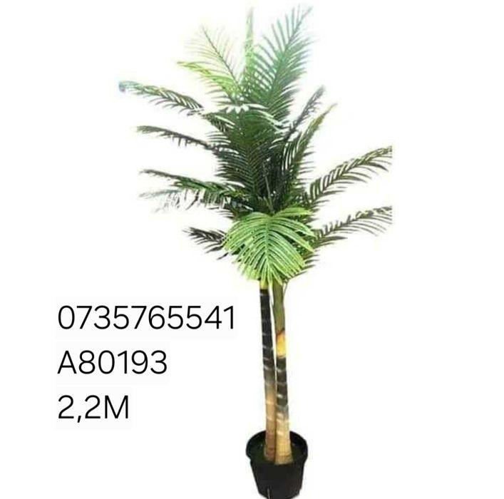Palmier maslin copac exotic frunze cu aspect natural
