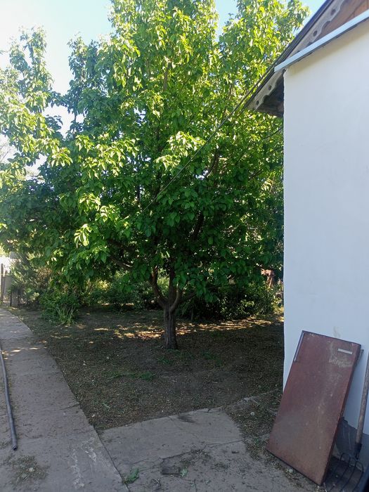 Продам дом с участком