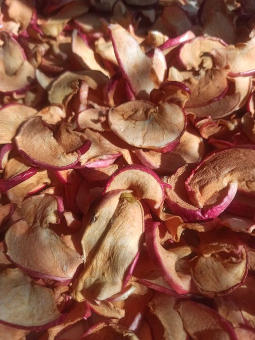 Апорт Алматинский