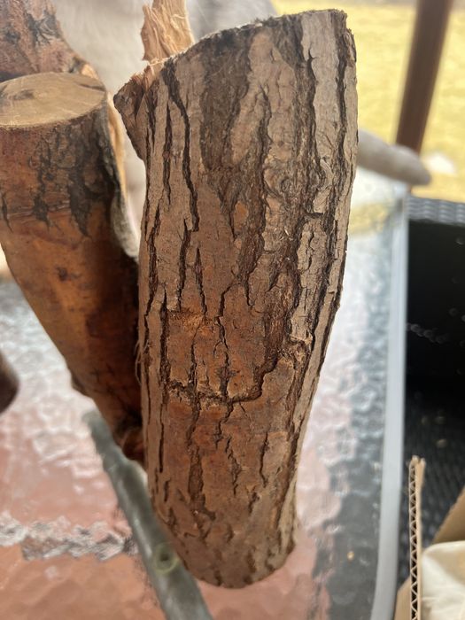 Ветки разные Пни, пеньки Ива Матсудана