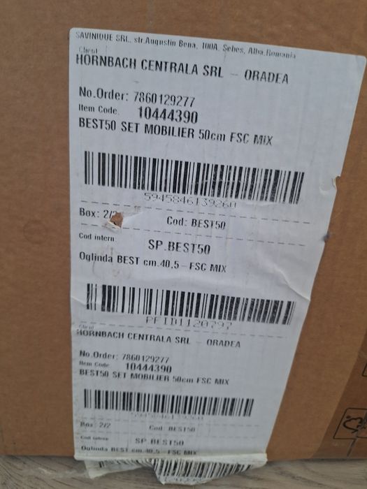 Oglinzi 69 x 42 cm Hornbach noi sigilate