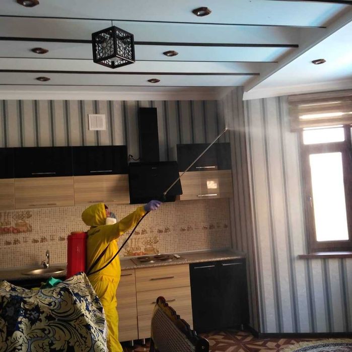 Dezinfeksiya. Дезинфекция