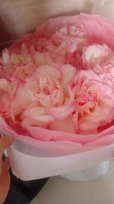 1-2 цветы 10000тг;  3-4 цветы 2000тг.