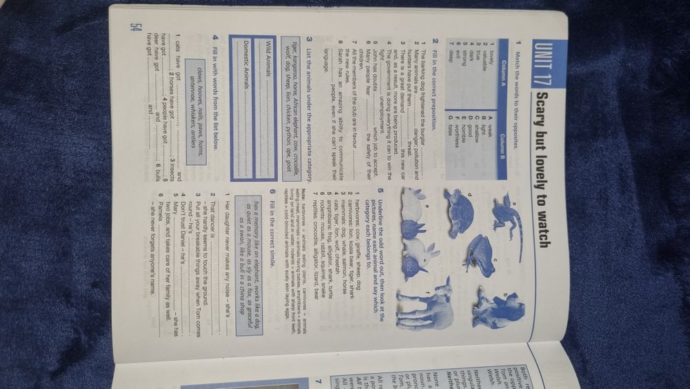 Culegere Limba Engleza