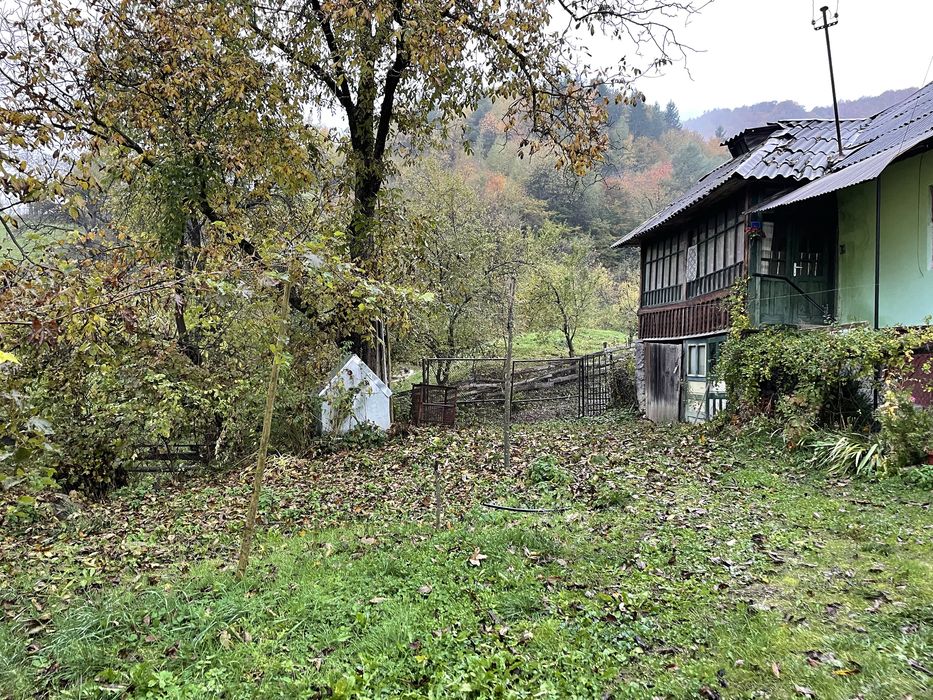 Casa si teren Poiana Ilvei BN
