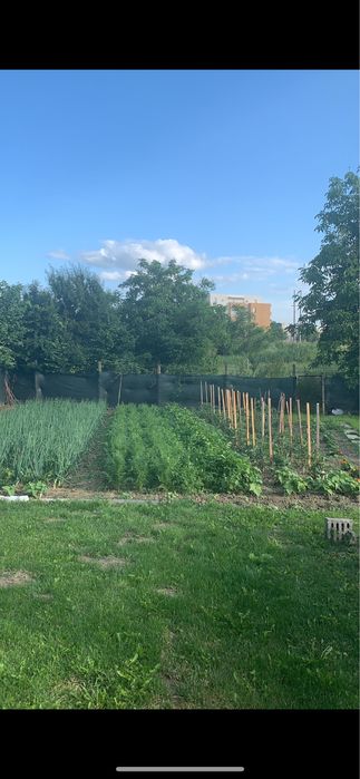 Casă 80 mp + 500 mp grădină, Luduș, E60 – toate utilitățile