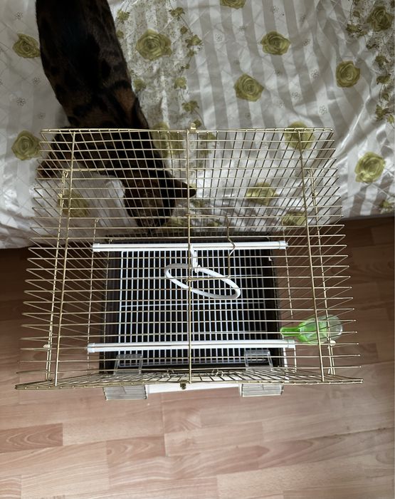 Продам 2 клетки и оборудование для содержания попугаев