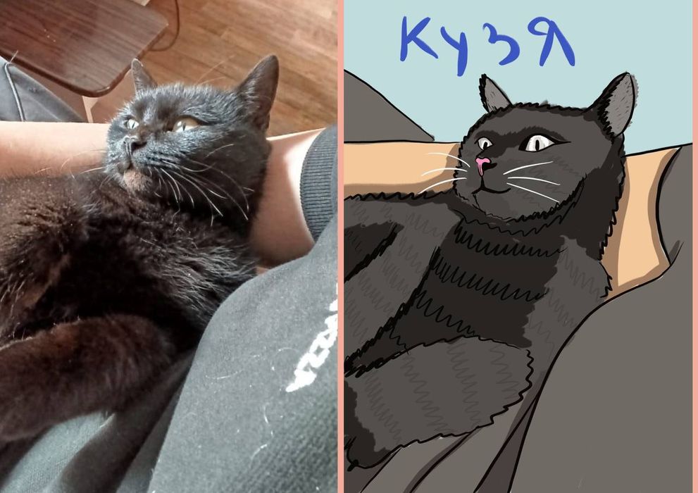 Рисунок питомца по фото