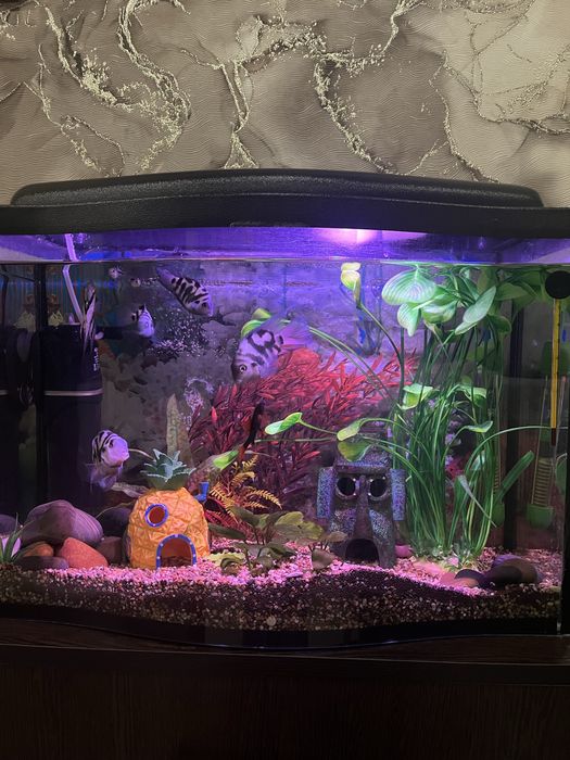 Продам аквариум..