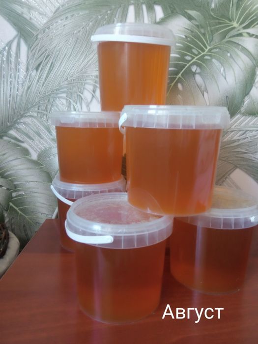 Высокогорный МЁД