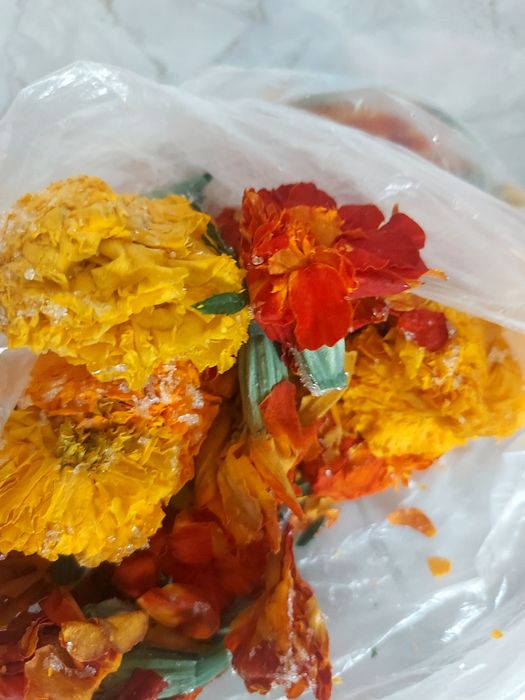 Продам БАРХОТЦЫ базилик