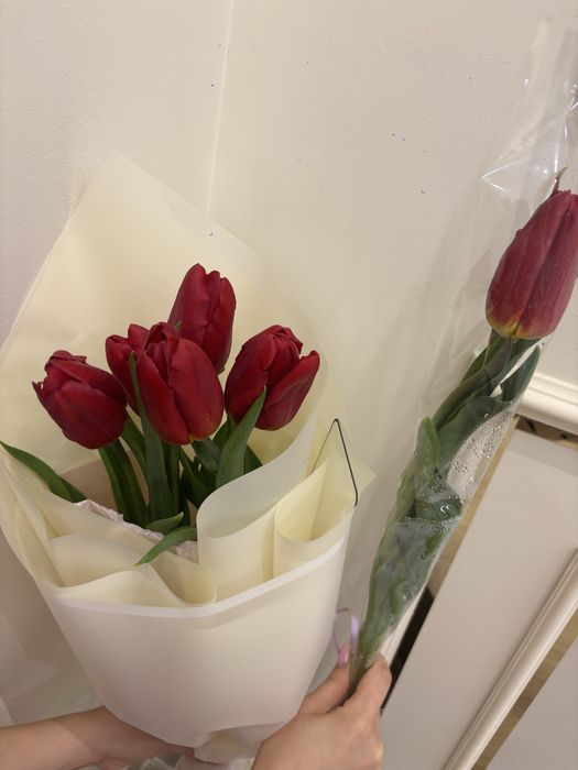 Тюльпаны 5 шт+1 в подарок