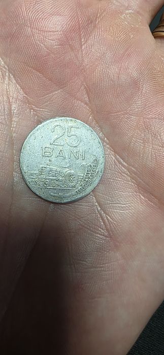 Moneda 25 BANI 1982