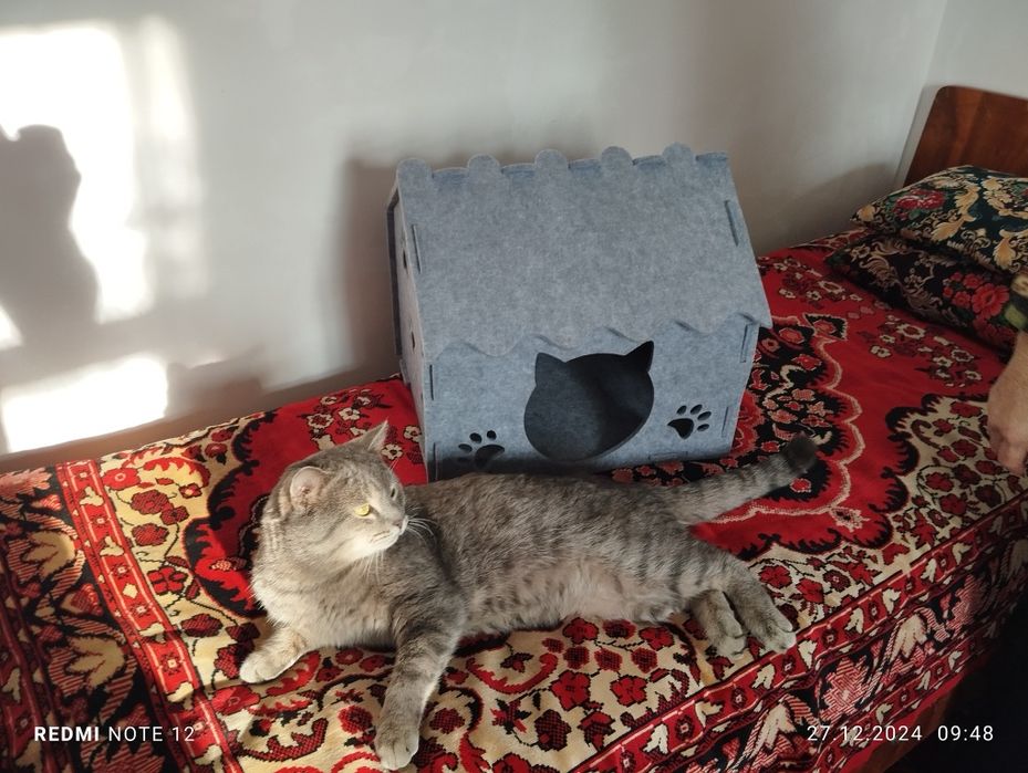 Продается кошачий домик