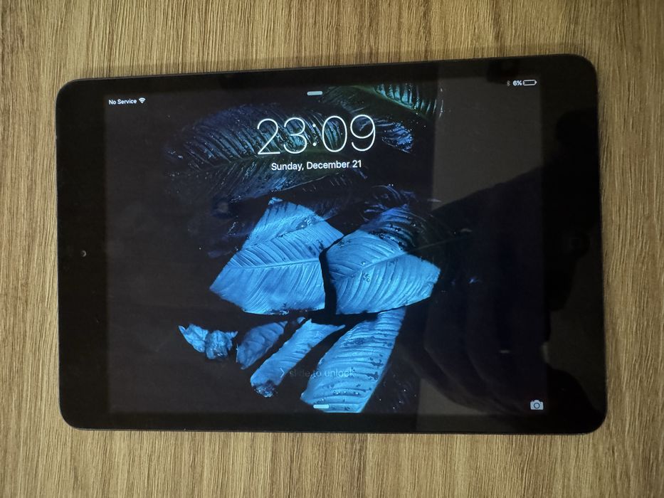 iPad iPad mini (1st generation) (16GB, Wi-Fi + Cellular)