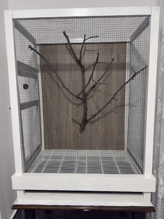 Colivie / cusca + papagal nimfa