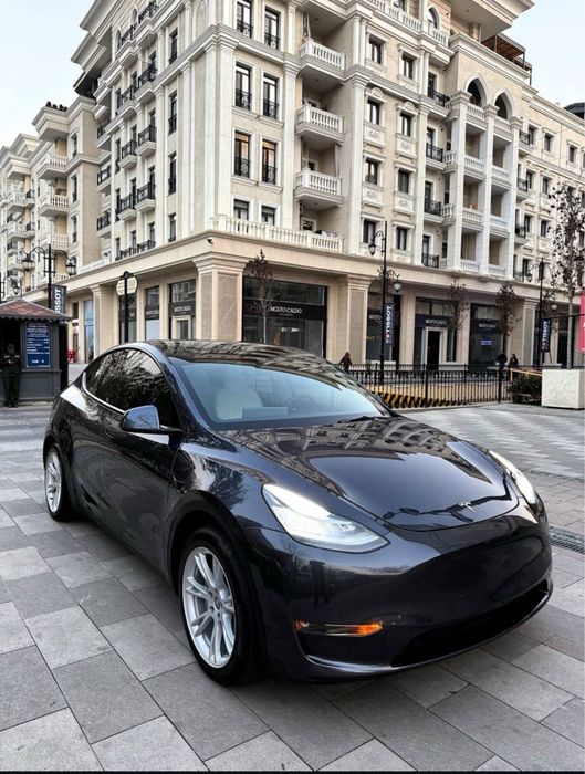 Tesla Model Y USA 2021/2022