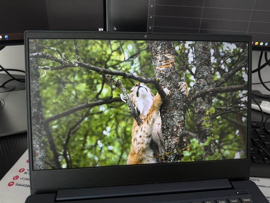 Ноутбук Lenovo IdeaPad S340