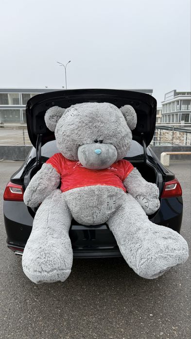 3 метрлик Янги Тедди