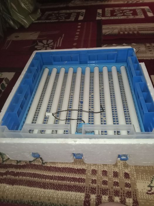 Инкубатор сатылады