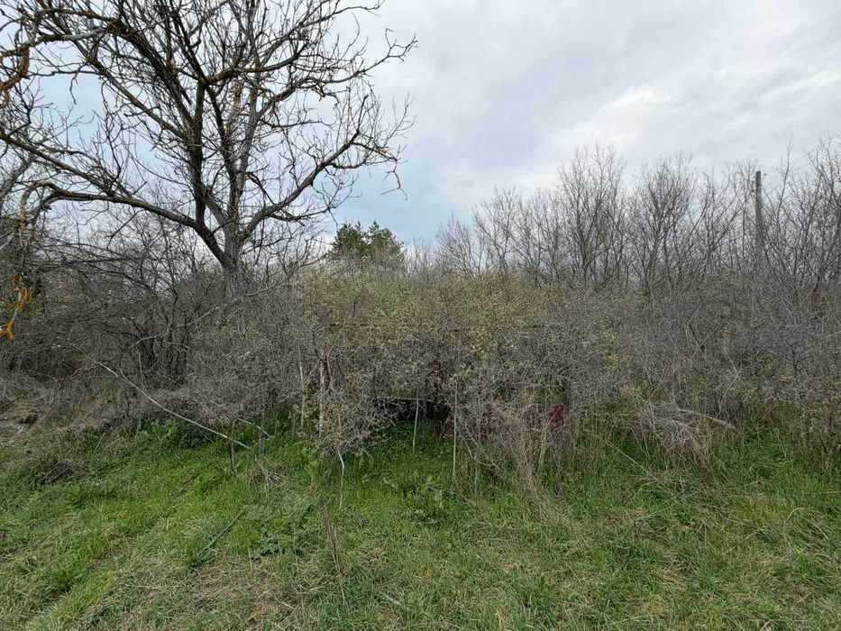 Продава се Парцел в с. Братя Даскалови, Област Стара Загора - 1150 кв.м за 4 €/кв.м - Снимка #5