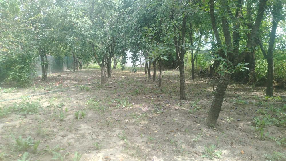 Particular casa la tara rustica 2100 mp, cu livadă, solar legume și utilitati - la aproximativ 60 km de București