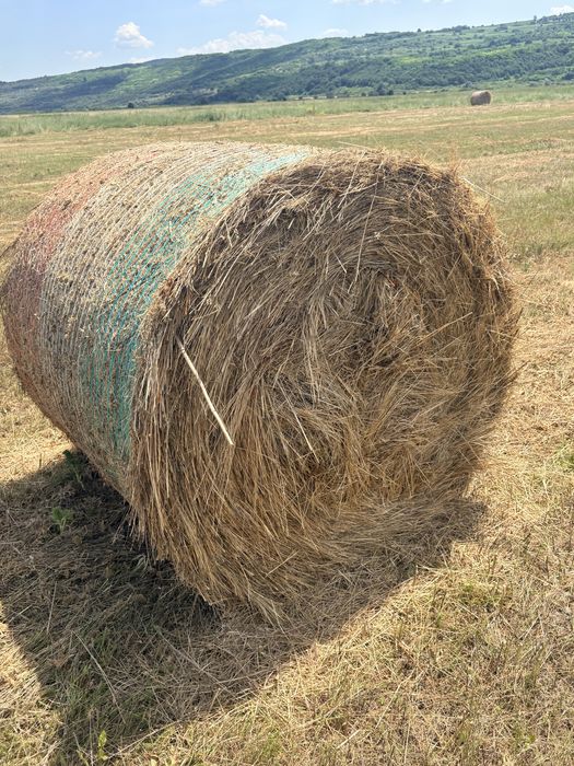 Baloti de fân , cea mai buna calitate