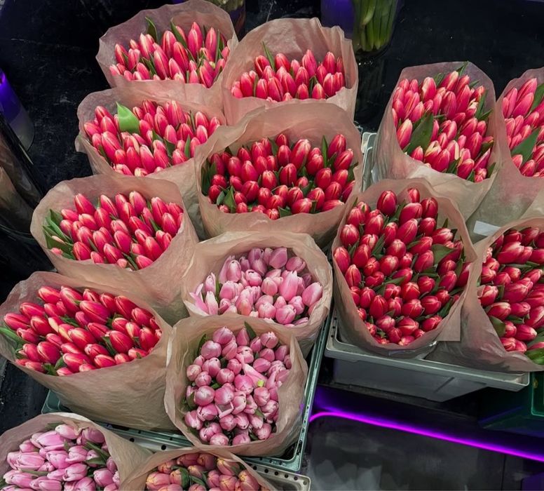 Тюльпаны оптом и в розницу город Павлодар