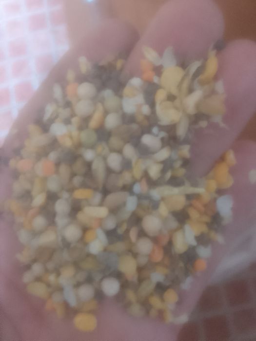 Отходы Зерноотходы Отруби