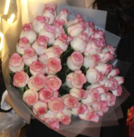 51 роза свежий..