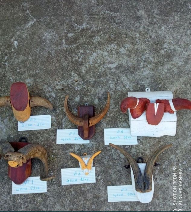 Трофеи от диви и домашни животни, дървена стойка за дискове.