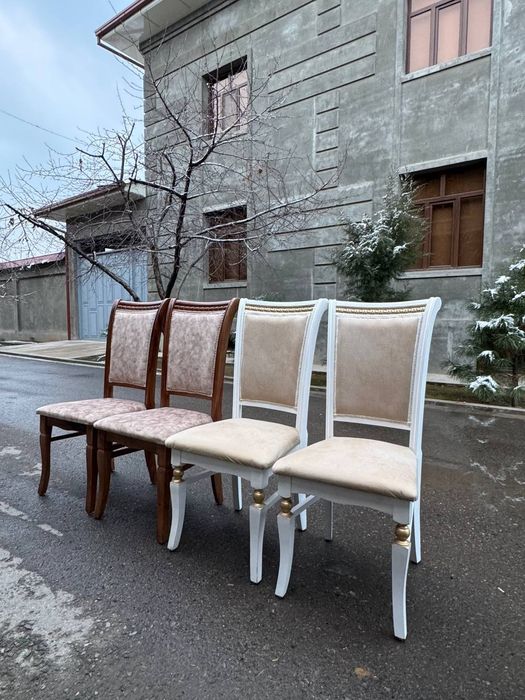 Prakat stol stul shirma Аренда  Zontik прокат стол стул кондиционер