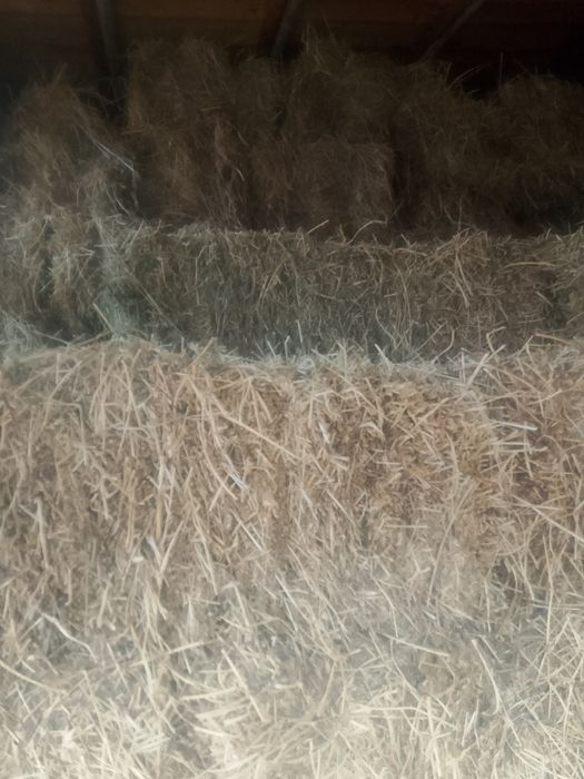 Бали  люцерна и сено