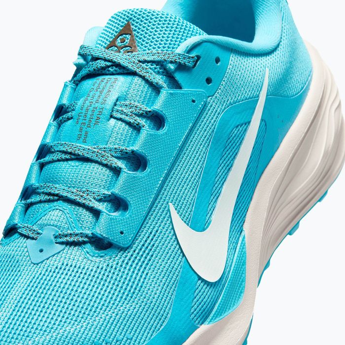 Nike Pegasus ACG