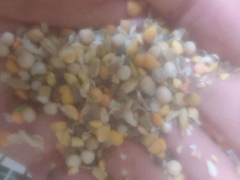 Отходы Зерноотходы Отруби Овёс Полова